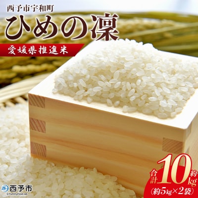 愛媛県推進米　ひめの凛　10kg(5kg×2)