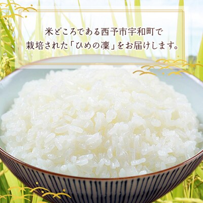 愛媛県推進米　ひめの凛　10kg(5kg×2)