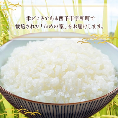 愛媛県推進米　ひめの凛　10kg(5kg×2)