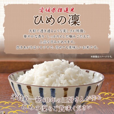 愛媛県推進米　ひめの凛　10kg(5kg×2)