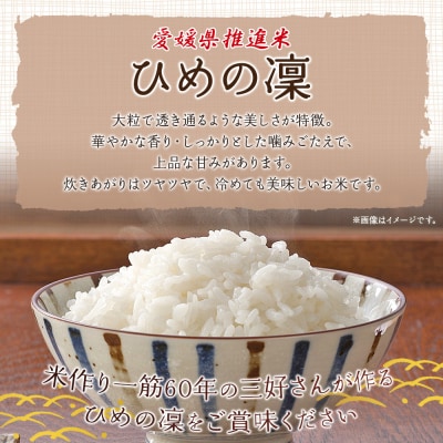 愛媛県推進米　ひめの凛　10kg(5kg×2)