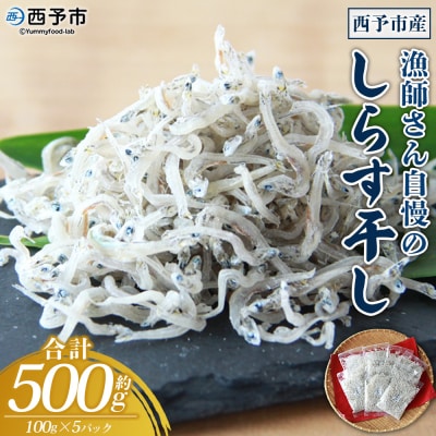 漁師さん自慢のしらす干し 合計500g(1パック100g入り)