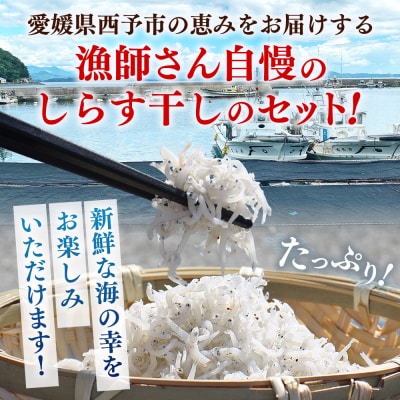 漁師さん自慢のしらす干し 合計500g(1パック100g入り)
