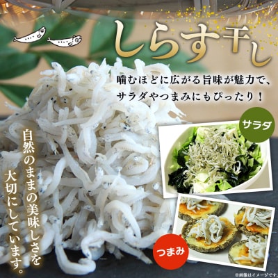 漁師さん自慢のしらす干し 合計500g(1パック100g入り)