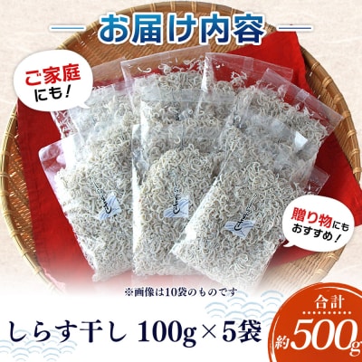 漁師さん自慢のしらす干し 合計500g(1パック100g入り)