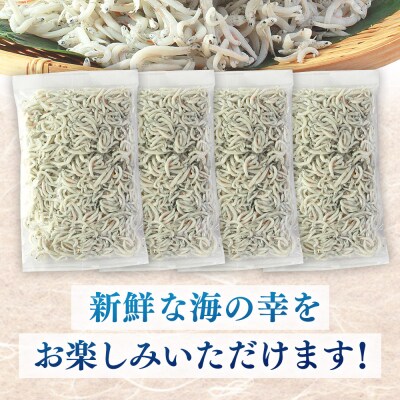 訳あり 漁師さん自慢の釜揚げしらす1kg(250g×4パック