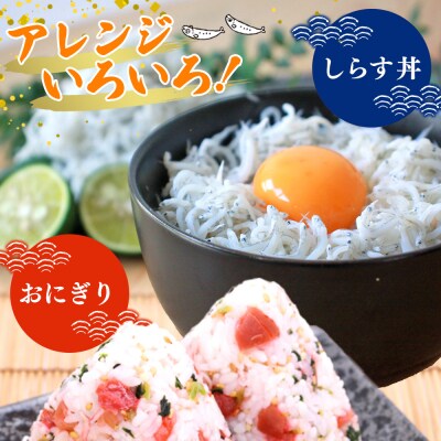 訳あり 漁師さん自慢の釜揚げしらす1kg(250g×4パック