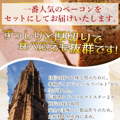 厚切りベーコン4種セット(100g)