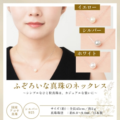明浜産　ふぞろいな真珠たちの福引パール