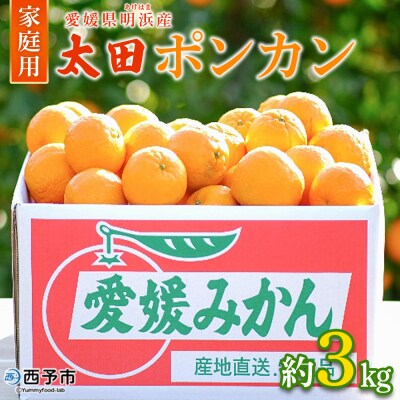 【先行受付】太田ポンカン 家庭用 約3kg