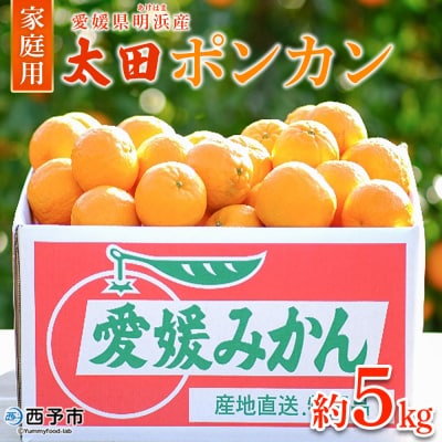 【先行受付】太田ポンカン 家庭用 約5kg