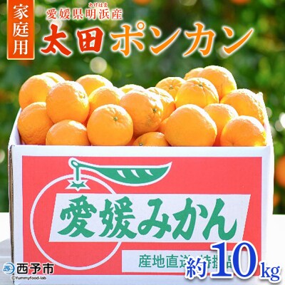 【先行受付】愛媛県明浜産 太田ポンカン 約10kg