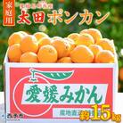 【先行受付】愛媛県明浜産 太田ポンカン 約15kg