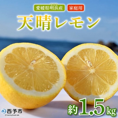 【先行受付】天晴レモン　ご家庭用　約1.5kg