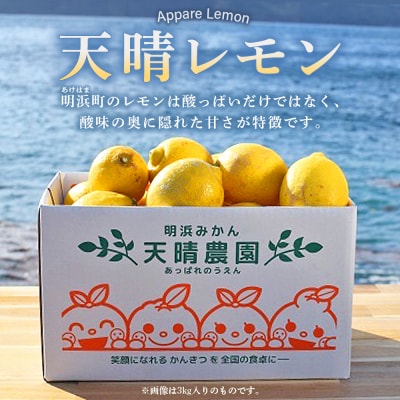 【先行受付】天晴レモン　ご家庭用　約1.5kg