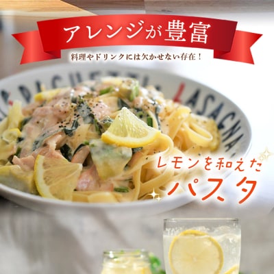 【先行受付】天晴レモン　ご家庭用　約1.5kg