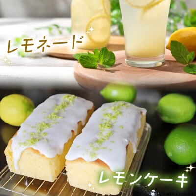 【先行受付】天晴レモン　ご家庭用　約2kg