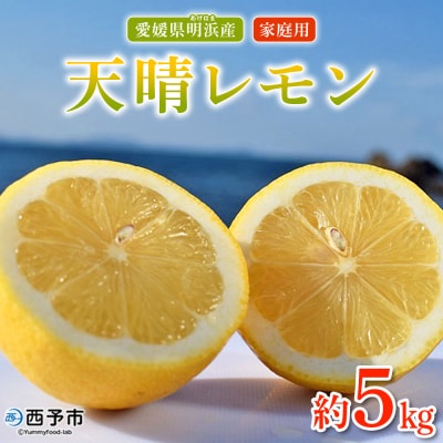 天晴レモン　ご家庭用　約5kg　果物　愛媛　えひめ　おいしい