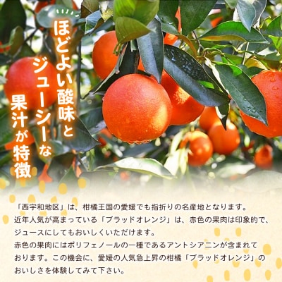【先行受付】<愛媛県西予市産>ブラッドオレンジ 家庭用 3.2kg
