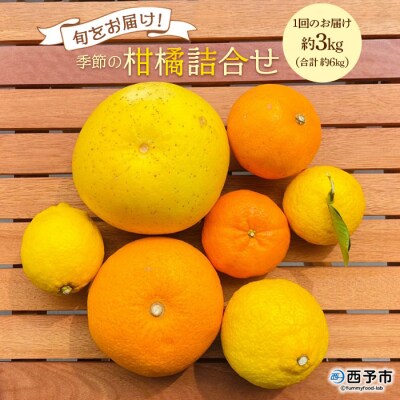 【先行受付】旬をお届け!季節の柑橘詰め合わせ(愛媛県西予市明浜産)【2回に分けて配送】