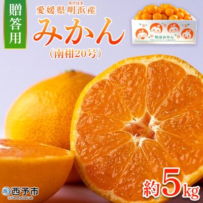 みかん(南柑20号)贈答用5kg　みかん　えひめ