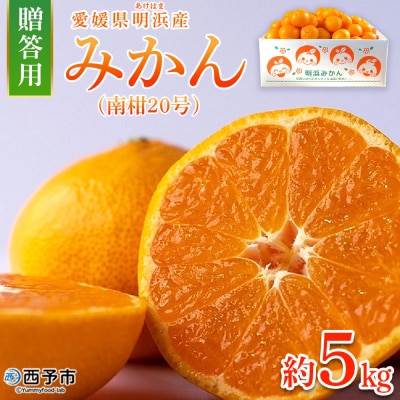【先行受付】みかん(南柑20号)贈答用5kg　みかん　えひめ