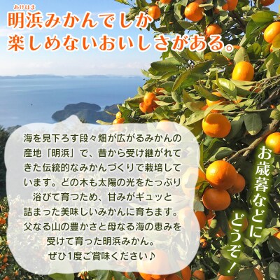 【先行受付】みかん(南柑20号)贈答用5kg　みかん　えひめ