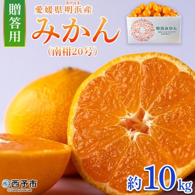 【先行受付】みかん(南柑20号)贈答用　10kg　みかん　愛媛　果物