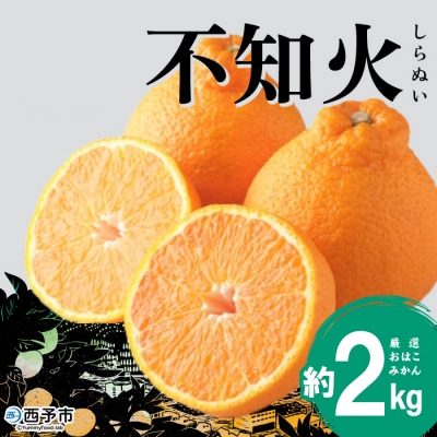 【先行受付】おはこやがつくる　おはこデコ(不知火)　2㎏　みかん　愛媛　果物