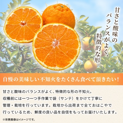【先行受付】おはこやがつくる　おはこデコ(不知火)　2㎏　みかん　愛媛　果物