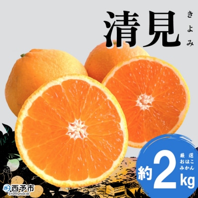 【先行受付】おはこやがつくる　清見　2㎏　みかん　愛媛　果物