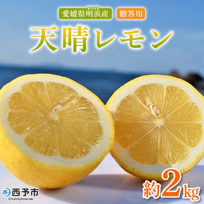 天晴レモン　贈答用　約2kg　れもん　えひめ　果物　愛媛　おいしい