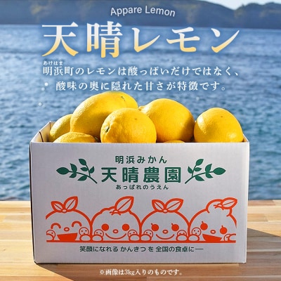 天晴レモン　贈答用　約2kg　れもん　えひめ　果物　愛媛　おいしい