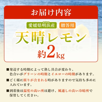 天晴レモン　贈答用　約2kg　れもん　えひめ　果物　愛媛　おいしい