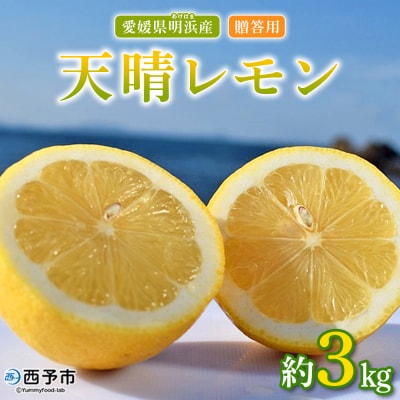天晴レモン　贈答用　約3kg　れもん　愛媛　果物