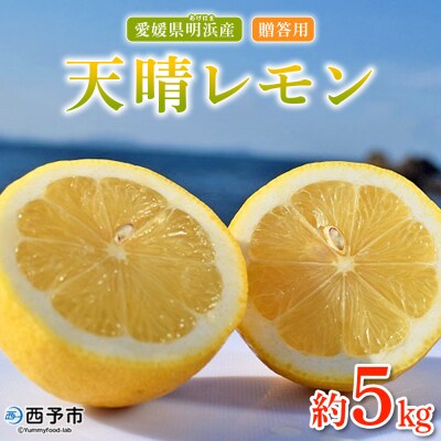 天晴レモン　贈答用　約5kg　れもん　愛媛　果物　おいしい