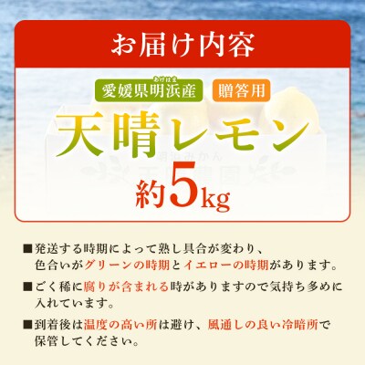 天晴レモン　贈答用　約5kg　れもん　愛媛　果物　おいしい