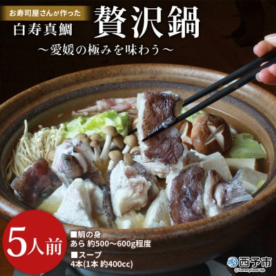 <お寿司屋さんが作った白寿真鯛 贅沢鍋セット ～愛媛の極みを味わう～ 5人前> 愛媛県産 白寿真鯛 