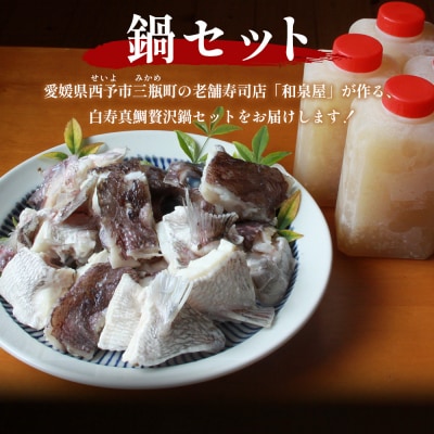 <お寿司屋さんが作った白寿真鯛 贅沢鍋セット ～愛媛の極みを味わう～ 5人前> 愛媛県産 白寿真鯛 