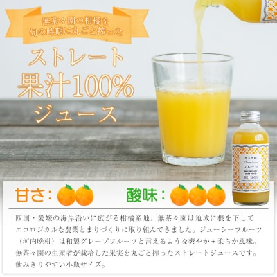 <無茶々園のジューシーフルーツジュース 180ml×12本> 柑橘 果物 オレンジ 
