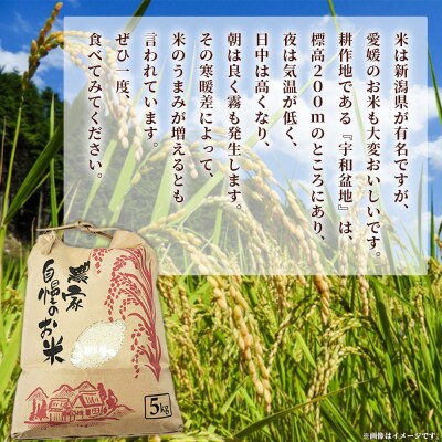 <令和7年産 西予市宇和町産 特別栽培米 コシヒカリ 約5kg> お米 コメ