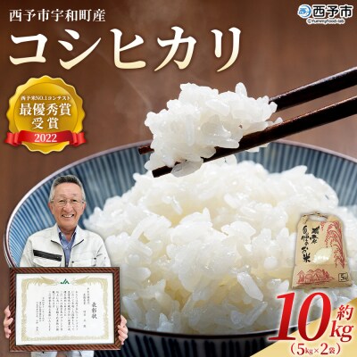 <令和7年産 西予市宇和町産 コシヒカリ 10kg> お米 コメ 