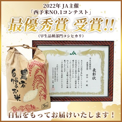 <令和7年産 西予市宇和町産 コシヒカリ 10kg> お米 コメ 