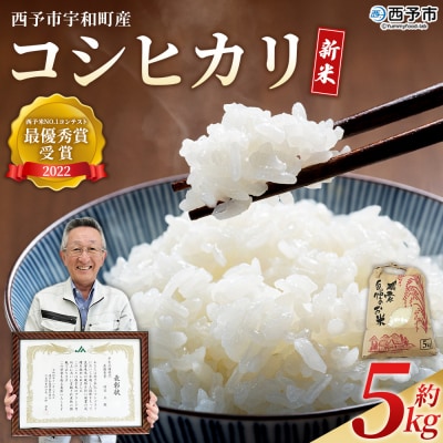 <新米 令和7年産 西予市宇和町産 コシヒカリ 約5kg> お米 コメ こめ 白米