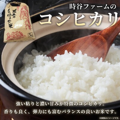 <新米 令和7年産 西予市宇和町産 コシヒカリ 約5kg> お米 コメ こめ 白米