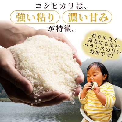 新米 <令和7年産 コシヒカリ「つるの寝どこまい」10kg 西予市宇和町産>