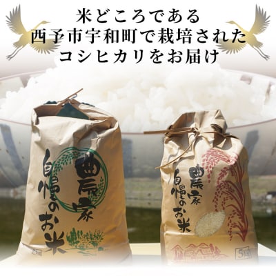 【先行予約】新米 <令和7年産 コシヒカリ「つるの寝どこまい」約5kg 西予市宇和町産> 