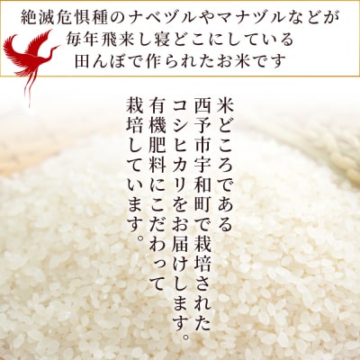 【先行予約】新米 <令和7年産 コシヒカリ「つるの寝どこまい」約5kg 西予市宇和町産> 