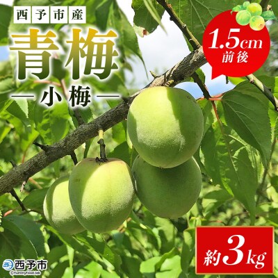 <愛媛県西予市産 青梅(小梅) 約3kg> うめ ウメ