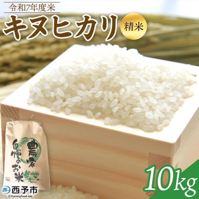 【先行受付】新米 <令和7年度 米 キヌヒカリ 精米 10kg> 2025年産